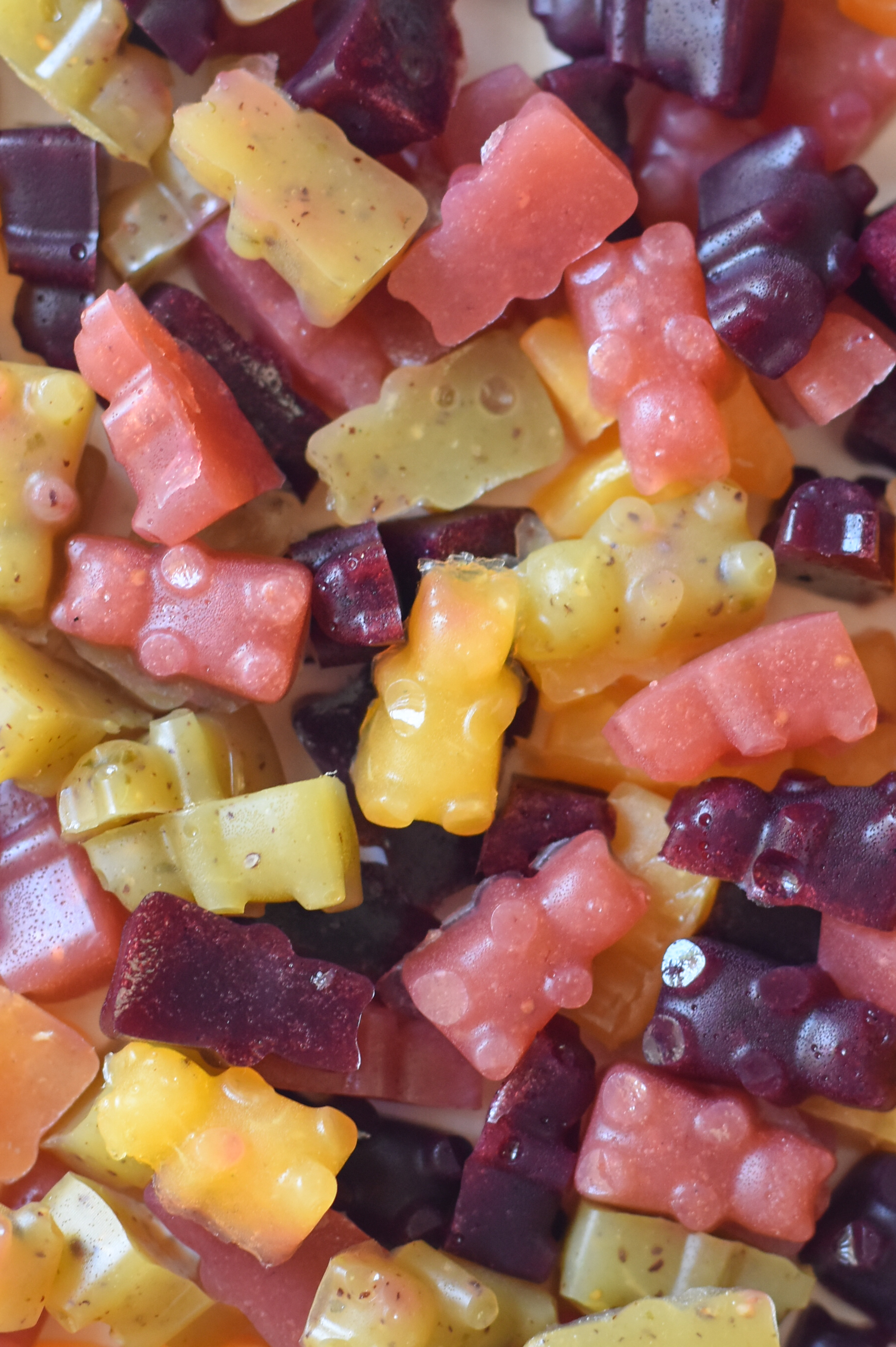 Healthy Gummy Fruit Snacks - Fork and Beans