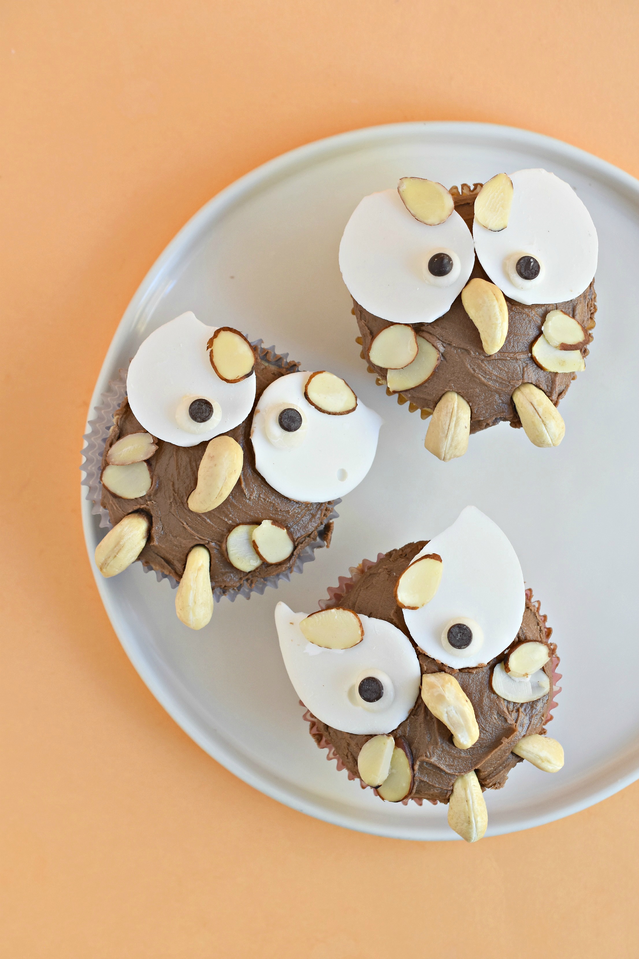 Gluten Free Owl Cupcakes - Fork and Beans
